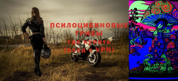 ALPHA-PVP Вяземский