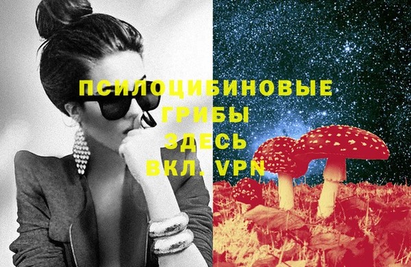 ALPHA-PVP Вяземский